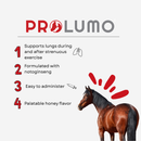 Prolumo Power Pack